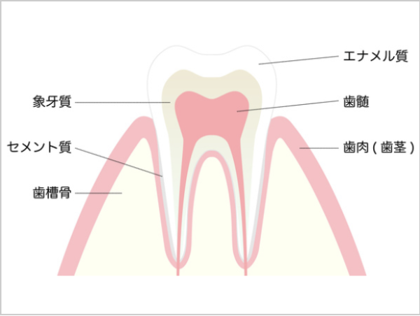 歯の神経が死んでいる歯の原因は？白くできるの？サムネイル